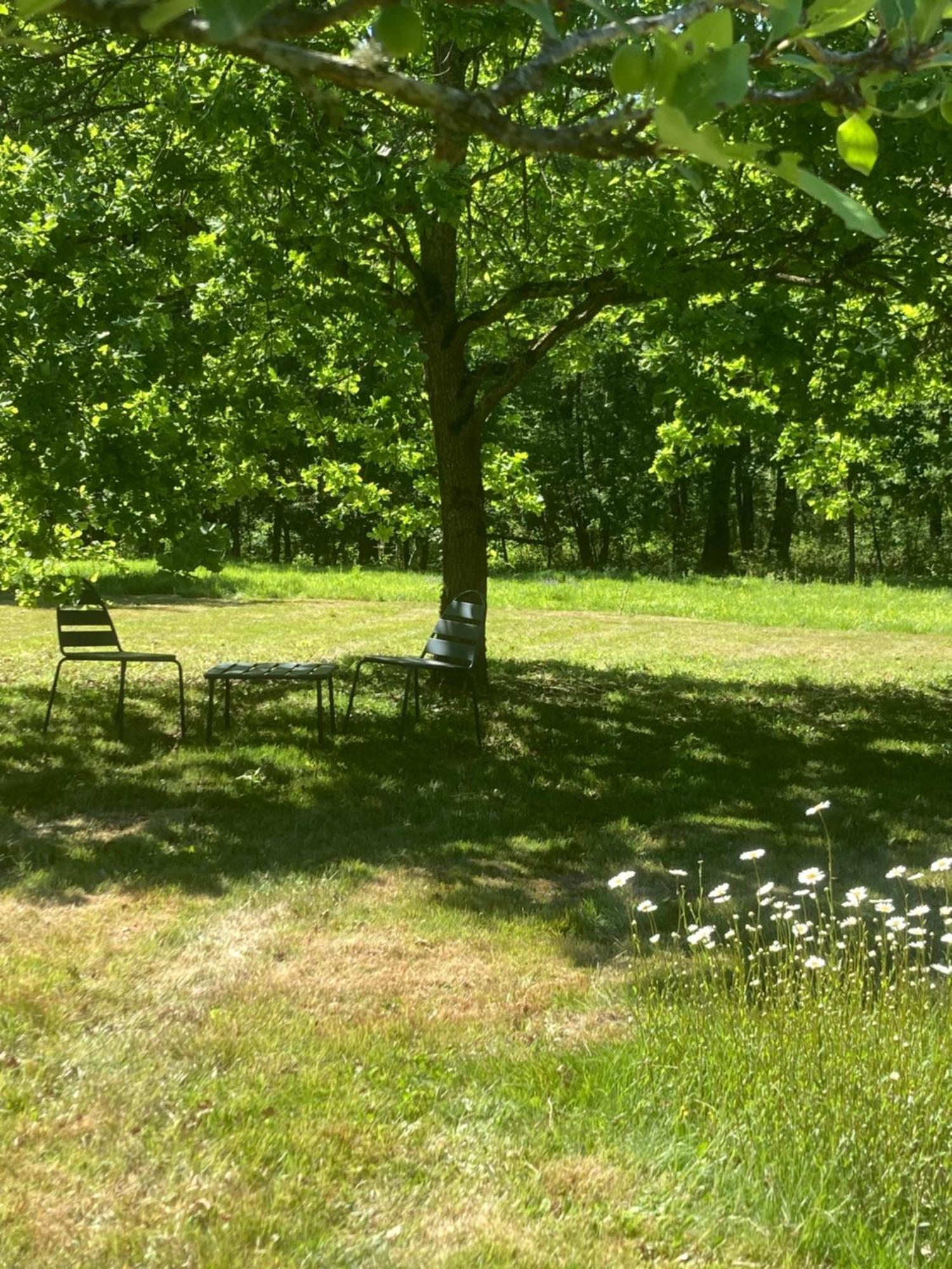 Les Bois De Ravel Chambres D'Hotes מראה חיצוני תמונה