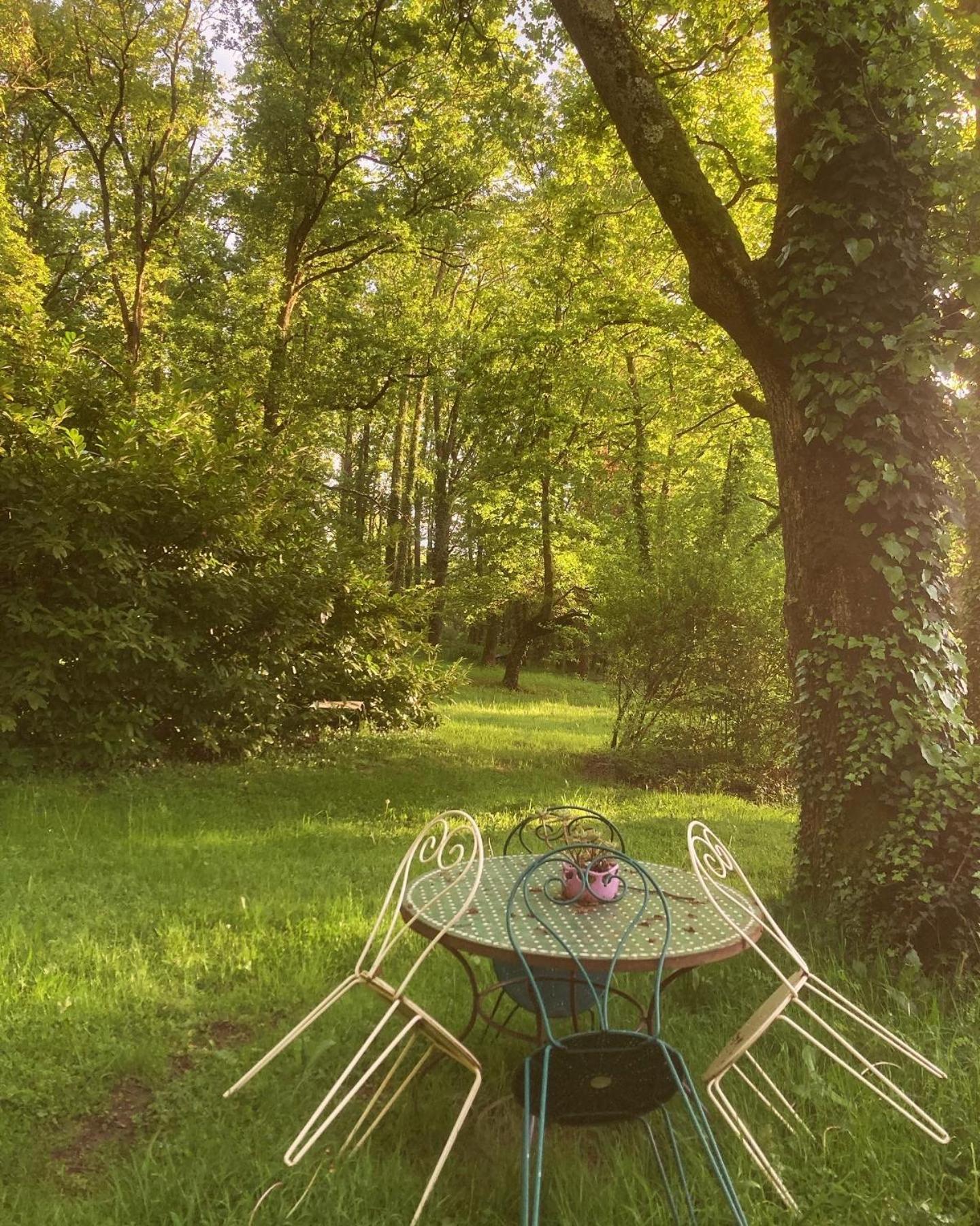 Les Bois De Ravel Chambres D'Hotes מראה חיצוני תמונה